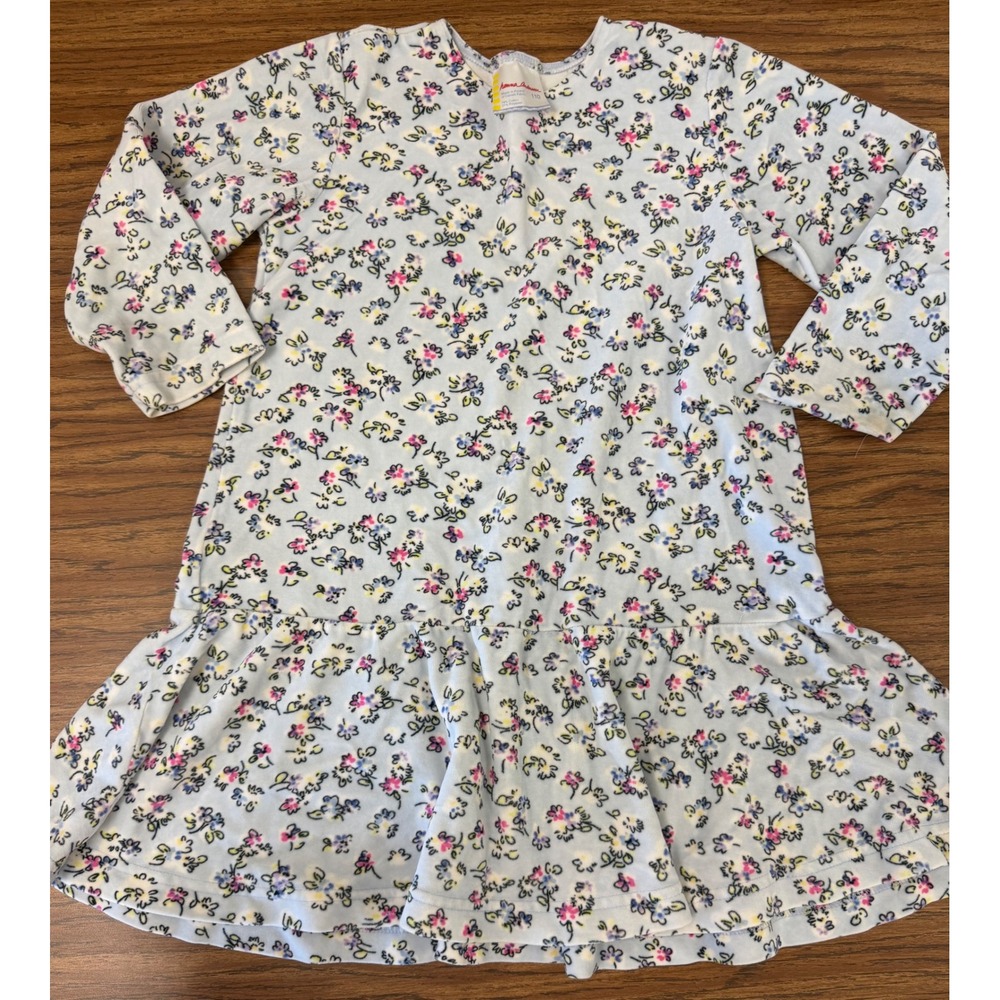 Hanna Andersson Girls Light Blue Floral Velour Drop Waist Dress Size 110 US 5/6